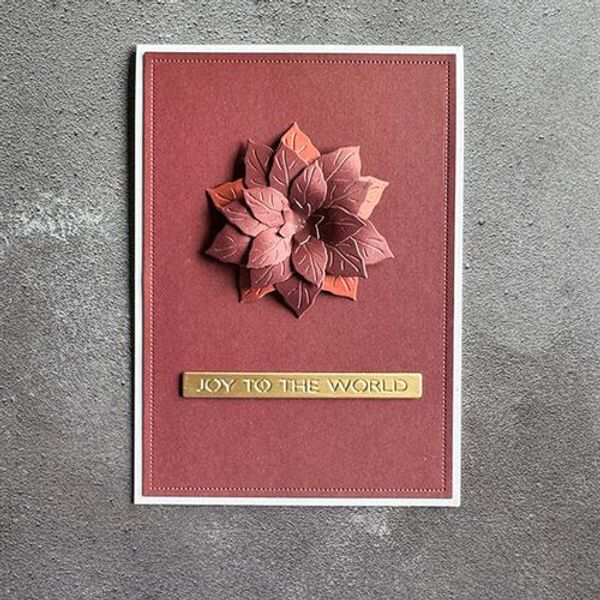 Poinsettia