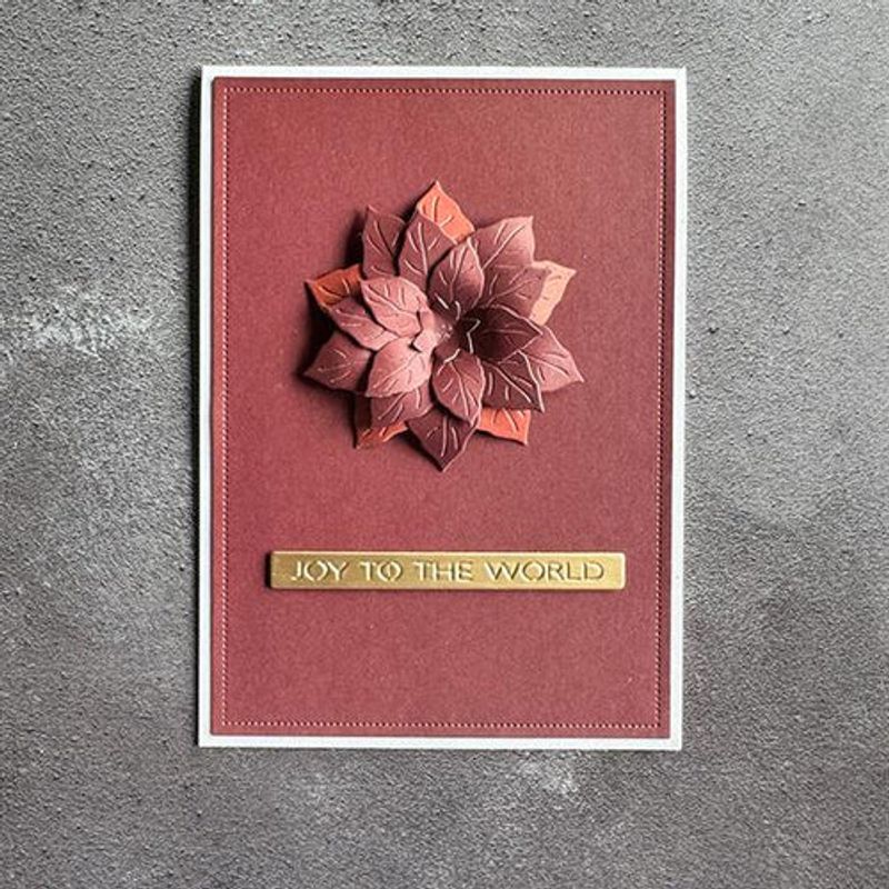 Poinsettia