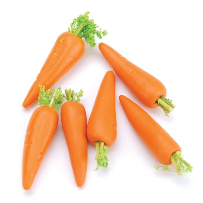 Hovedbilde Timeless Miniatures - Carrots