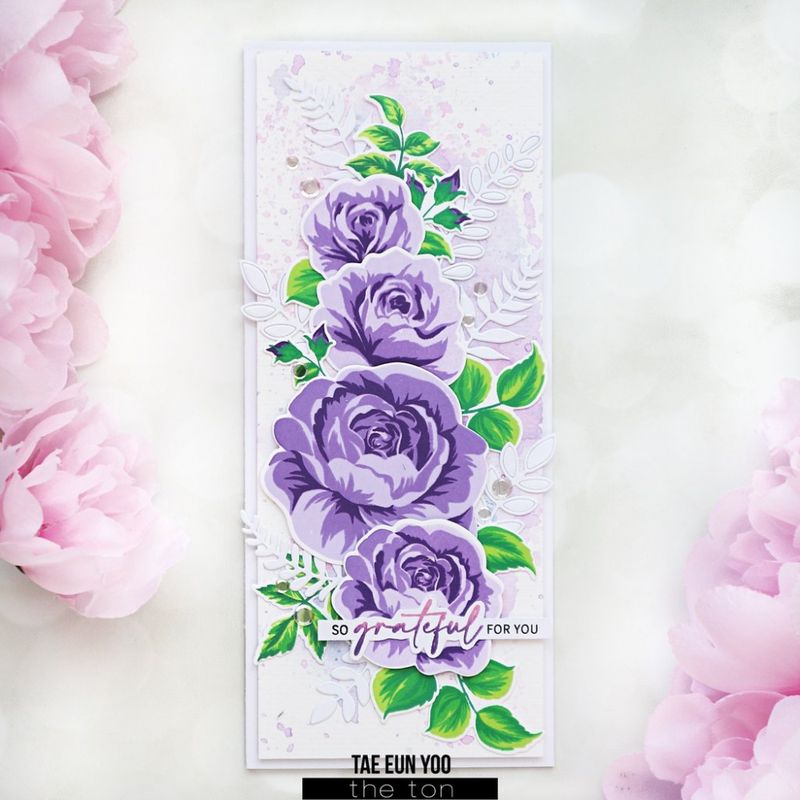 Rose Patch