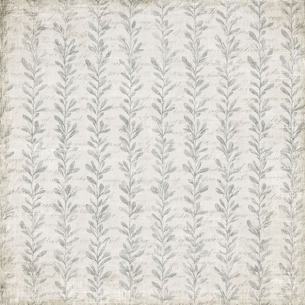 Timeless Collection - 6x6