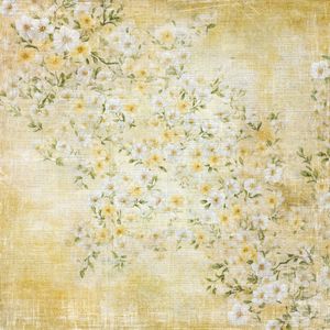 Hovedbilde Hello Spring Spring Flowers