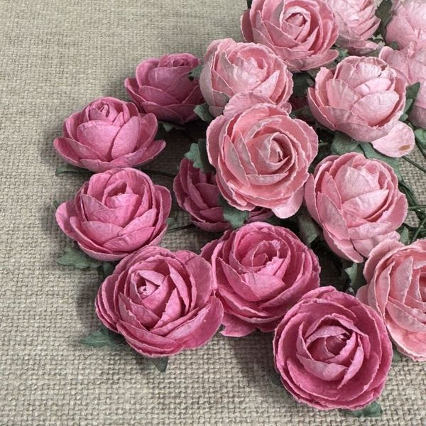 PION, ROSA