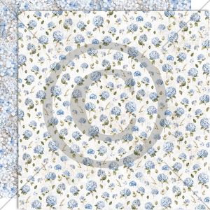 Hovedbilde HORTENSIA