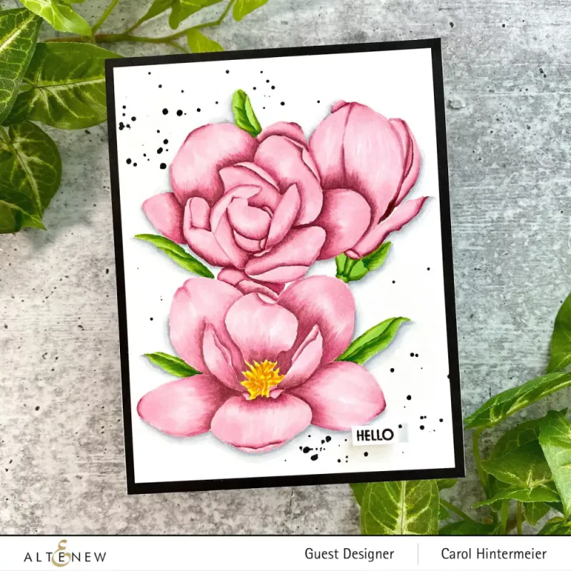 Paint-A-Flower: Magnolia Rustica Rubra Outline Stamp Set