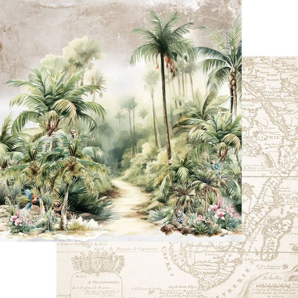 Alchemy of Art Paper Collection Wild Adventures  30&times;30