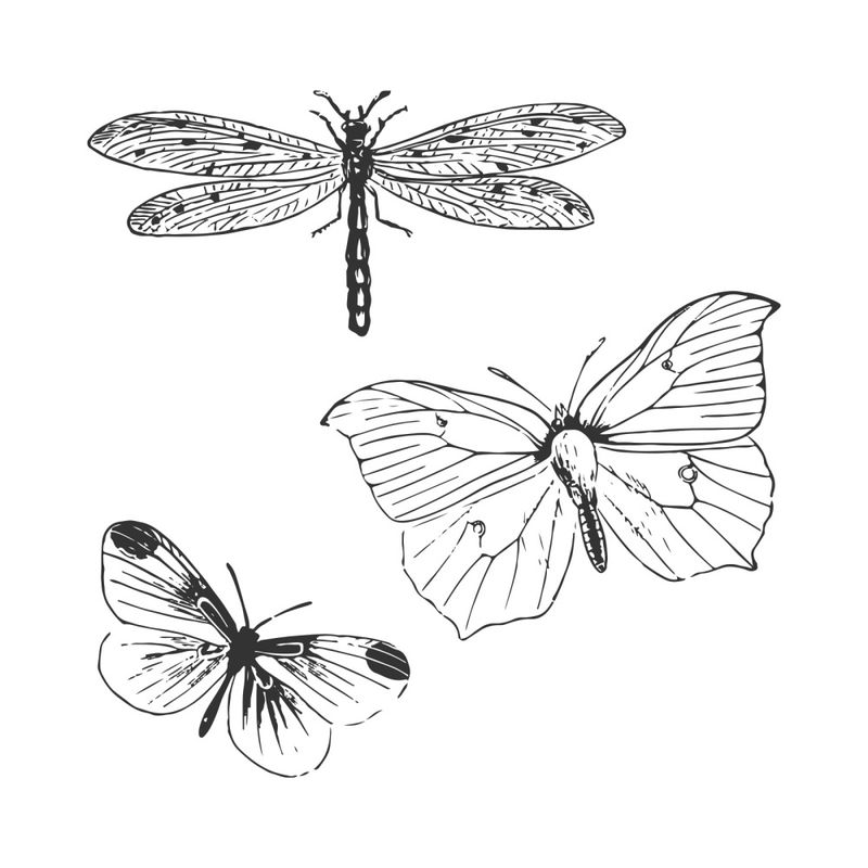 Sizzix -49 & Market - Engraved Wings