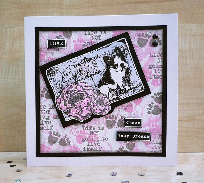 #863 - A5 STAMPS - POSTAL POOCH